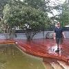 Merbau Decking