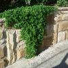 Cladded Stone On Bessa Block Wall